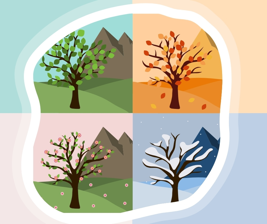 design sans titre (10)