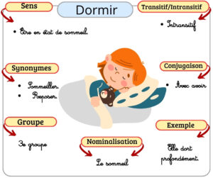 carcteristiques du verbes