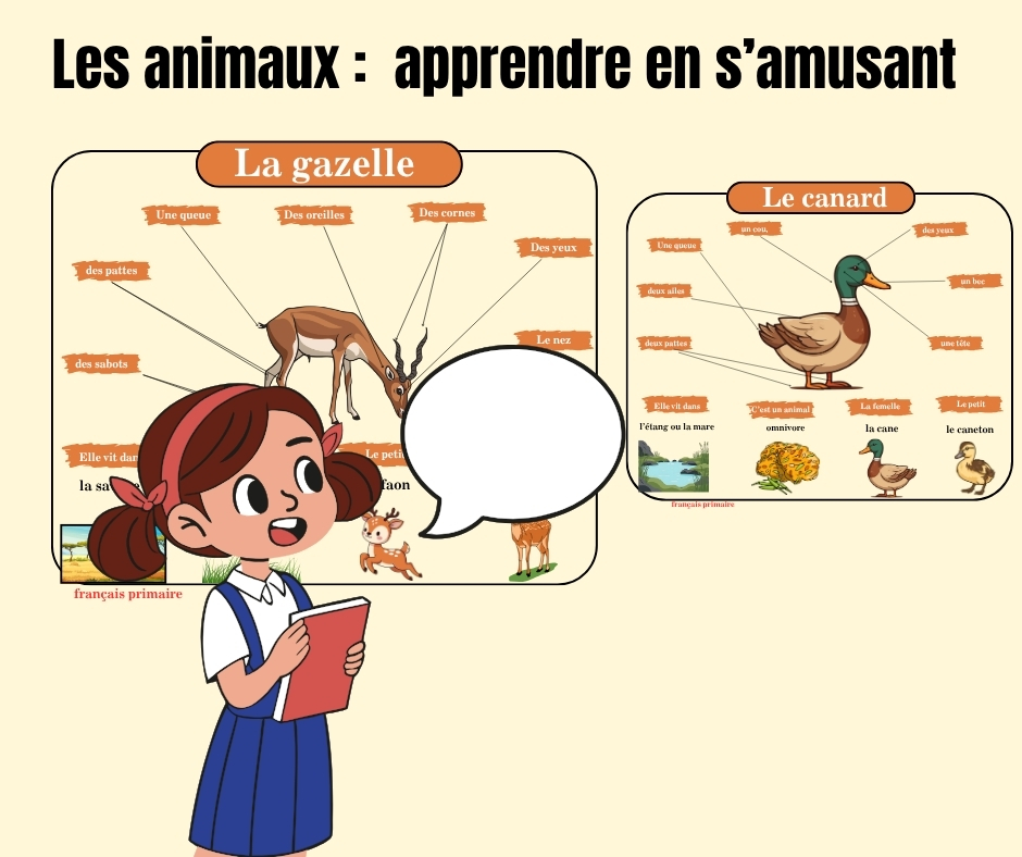 les animaux apprendre en s’amusant