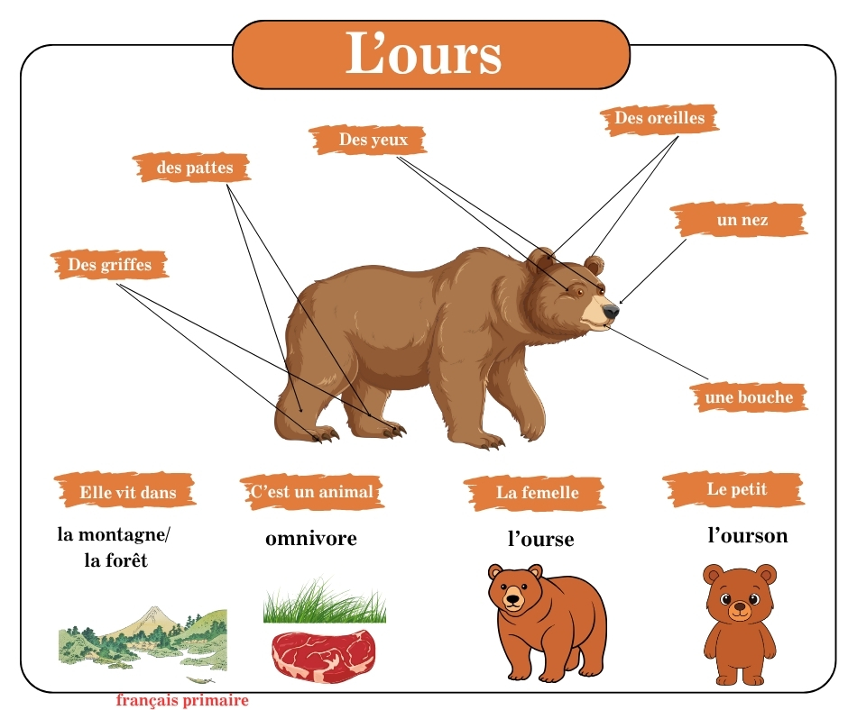les animaux apprendre en s’amusant